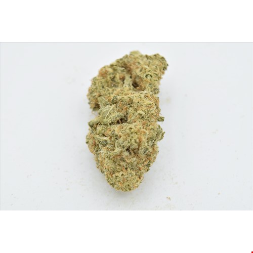 Pie Face (Hybrid) - SALE 1 OZ $65